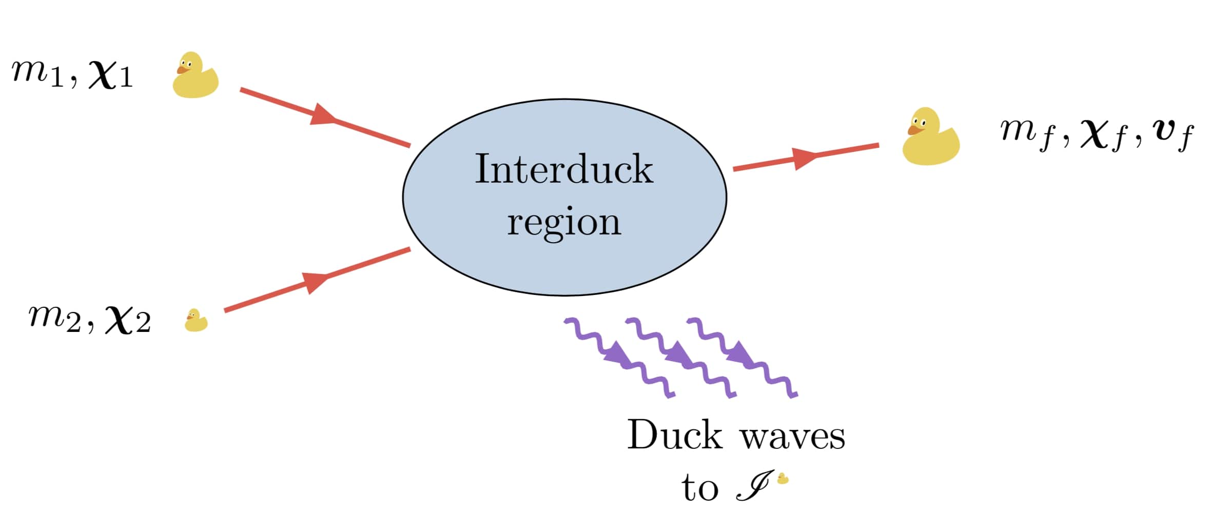Ducks SurrfinBH